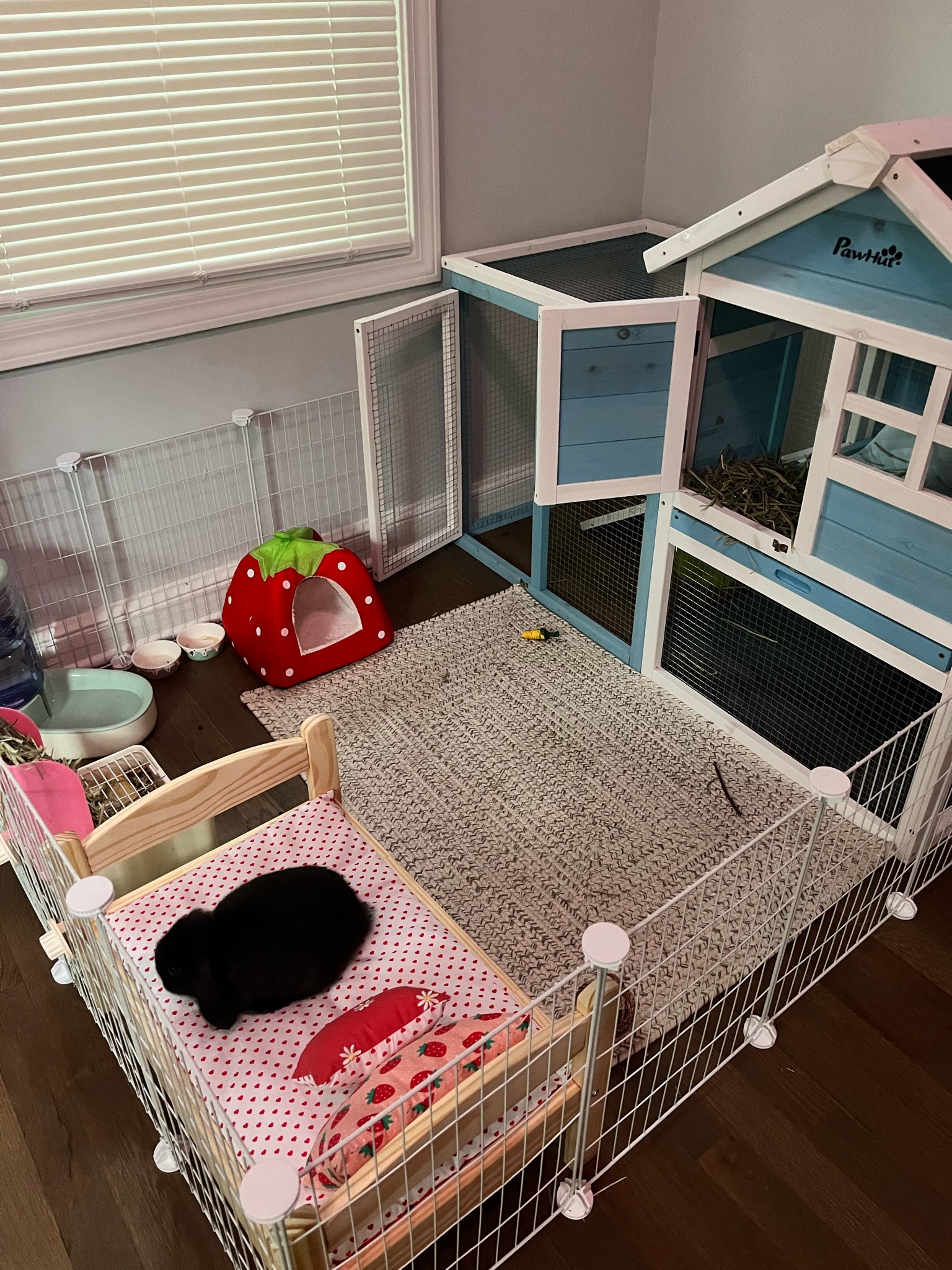Buy rabbit cage in bedroom Store
