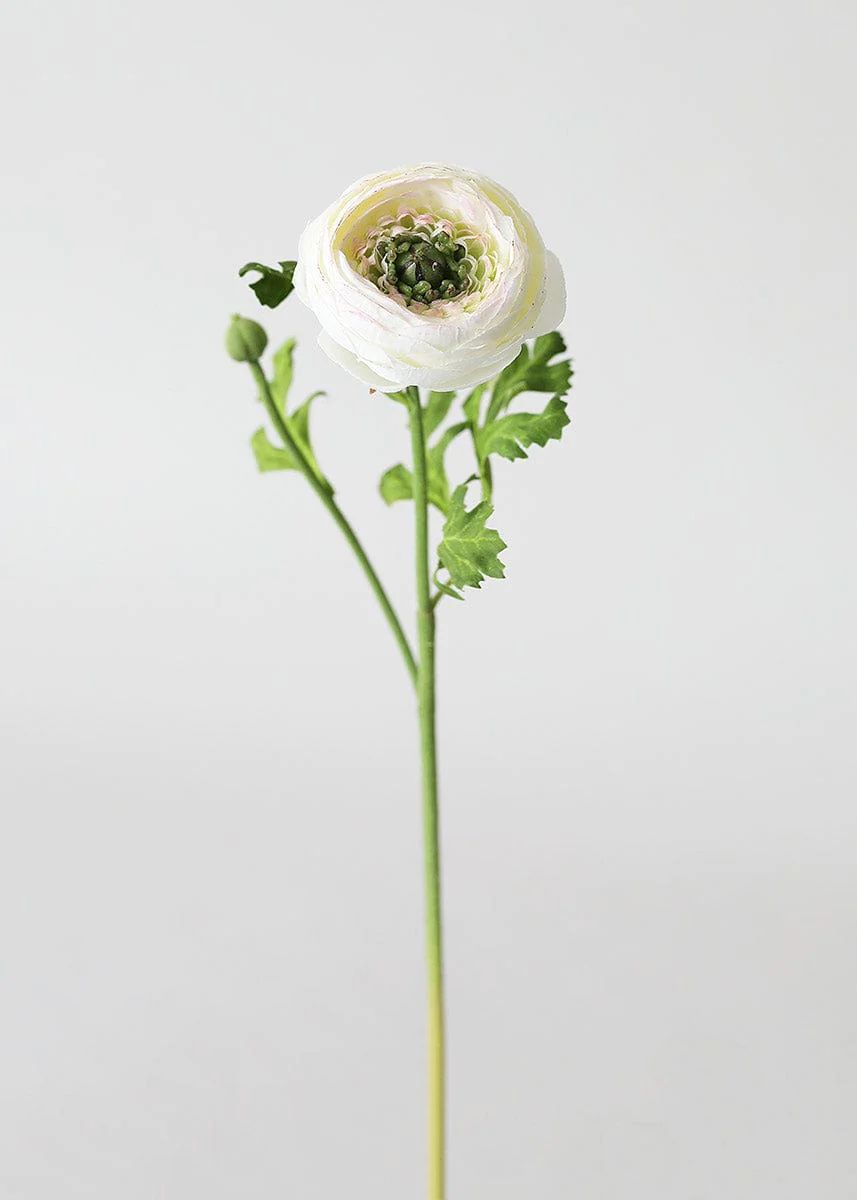 Silk Ranunculus in Cream - 13" | Afloral