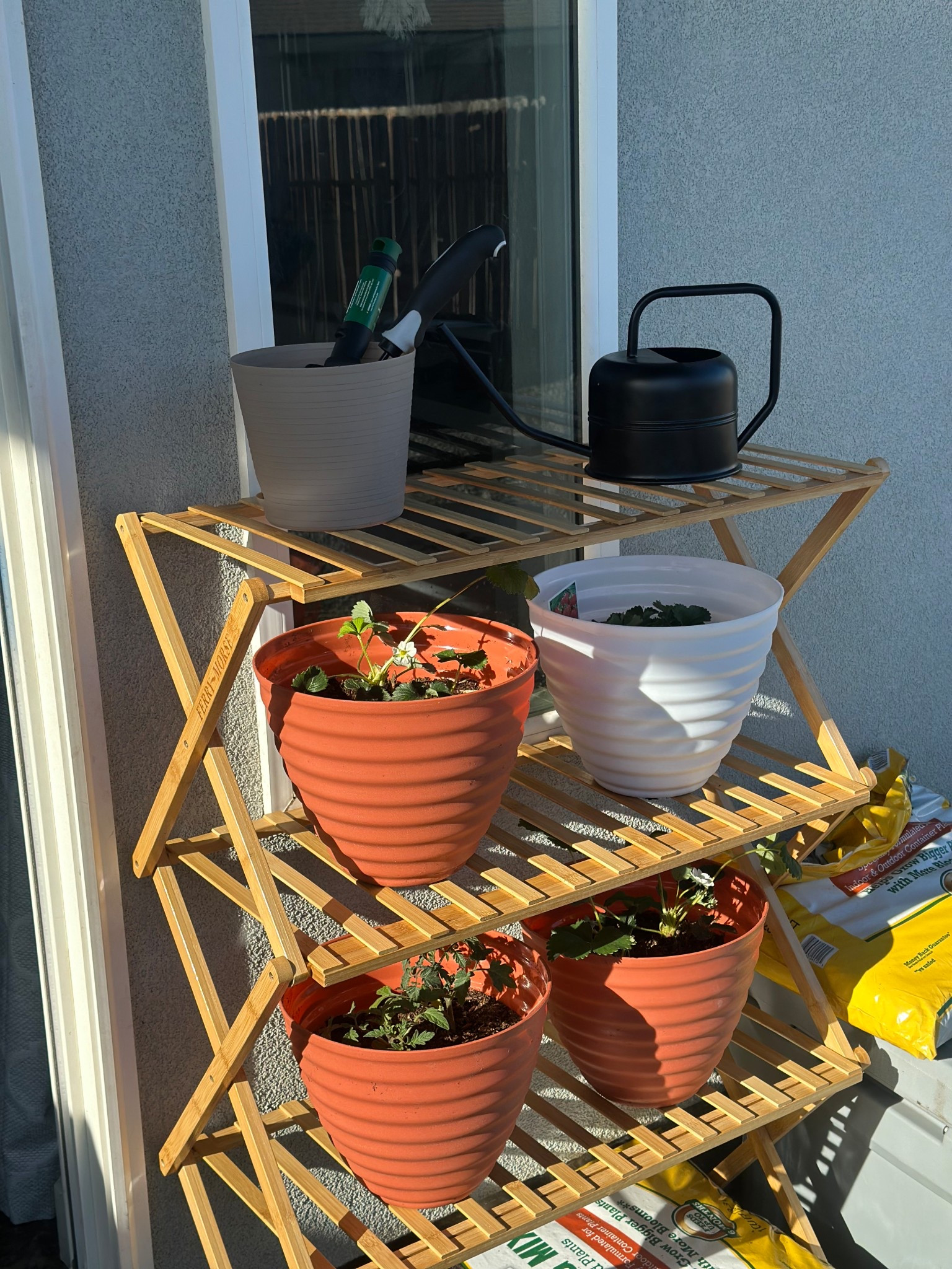 Patio garden 🪴 
#garden #patiogarden 

#LTKHome #LTKSeasonal #LTKFamily