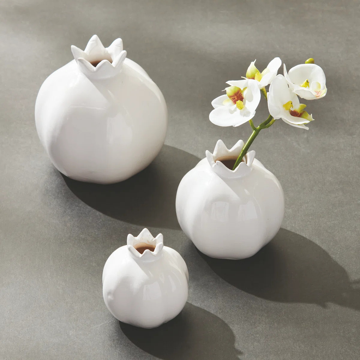 Pomona Bud VasesByLark Manor\u21225.0Rated 5 out of 5 stars.8 Reviews | Wayfair North America