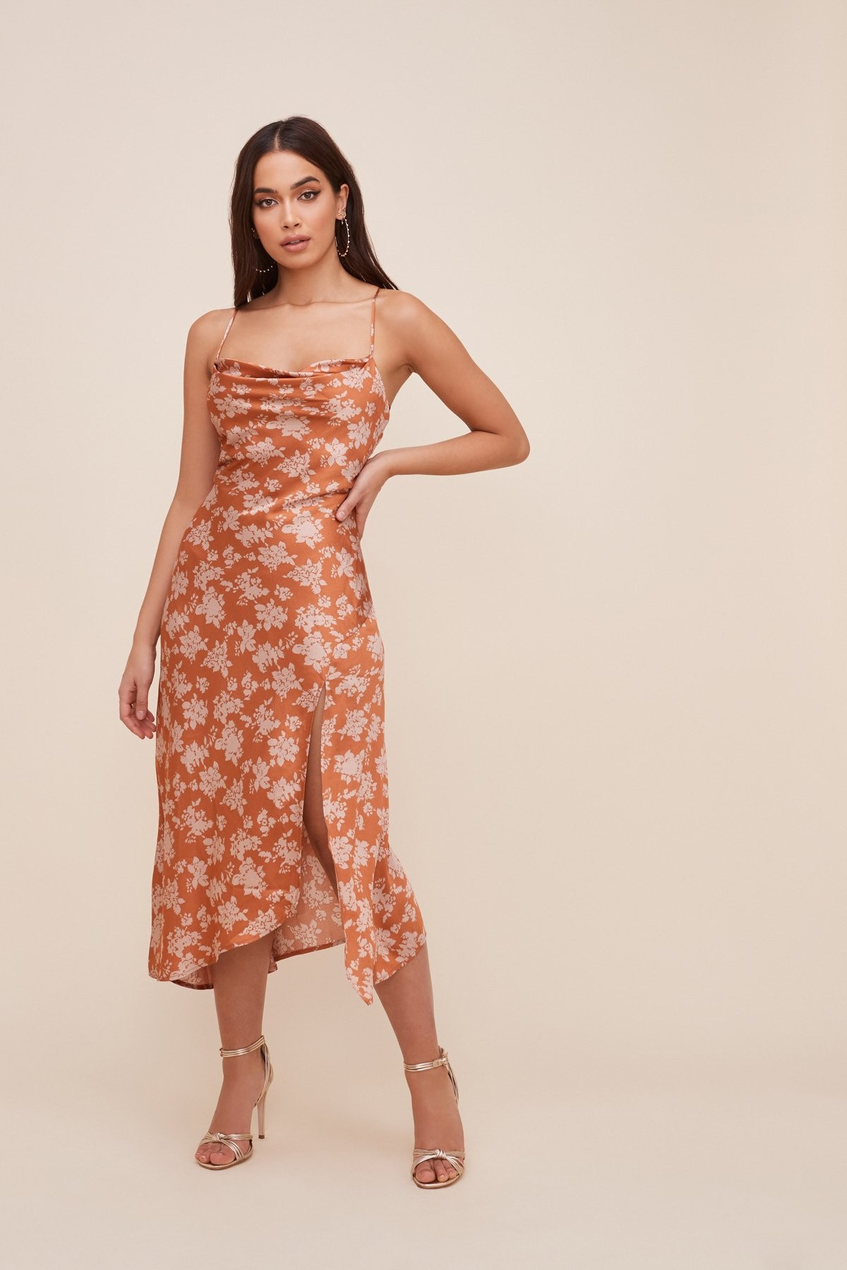 Gaia Floral Midi Dress | ASTR The Label (US)