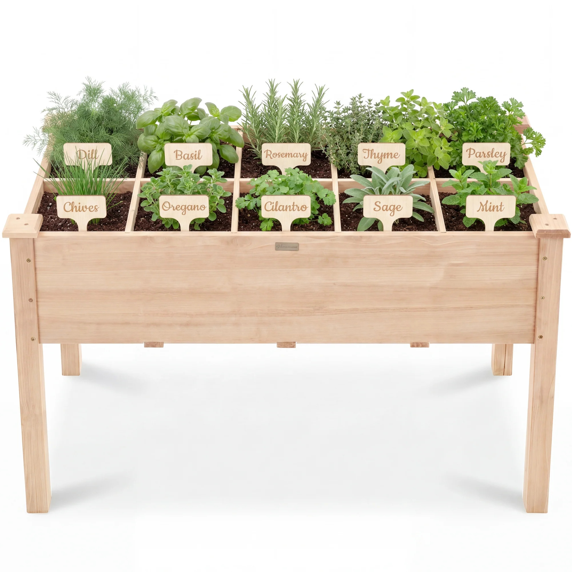 Raised Garden Bed Planter Box with 10 Grid Sections | Best Choice Products 