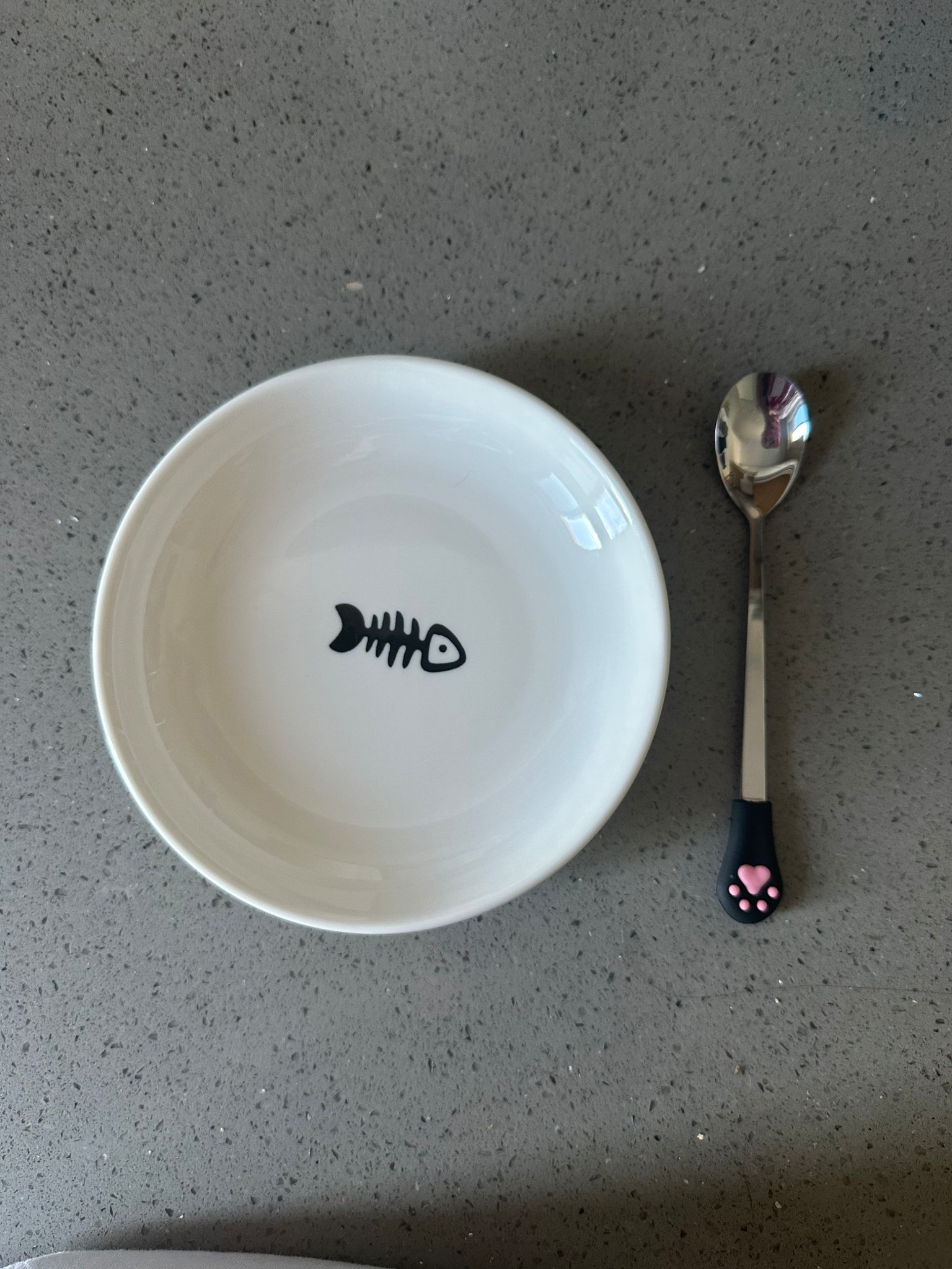 Cat dish and spoon for wet food 

#LTKFindsUnder50 #LTKPets
