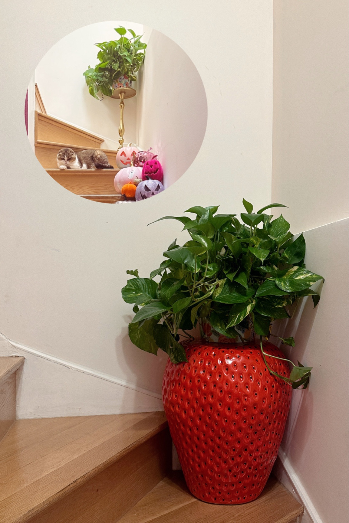 strawberry stool 🤝🏻 pothos plant

#LTKStyleTip #LTKFindsUnder100 #LTKHome