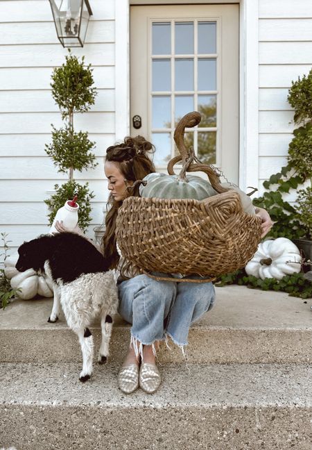 Give me all the pumpkins and lambs! 🎃🫶🏼🐑

#LTKSeasonal #LTKhome