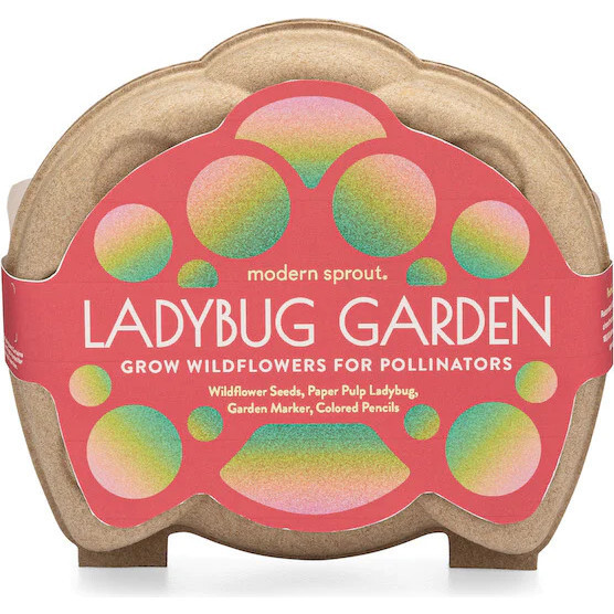 Curious Critter Garden Kit, Ladybug Garden | Maisonette