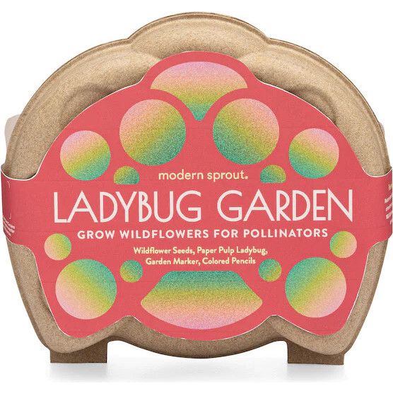 Curious Critter Garden Kit, Ladybug Garden | Maisonette