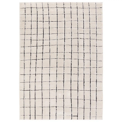 Ashira Ivory/Black Area Rug