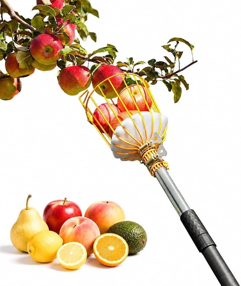 6.5FT Fruit Picker with Basket, Apple Picking Tool 35\u201377 Inch Adjustable Pole, Long-Handle M... | Amazon (US)