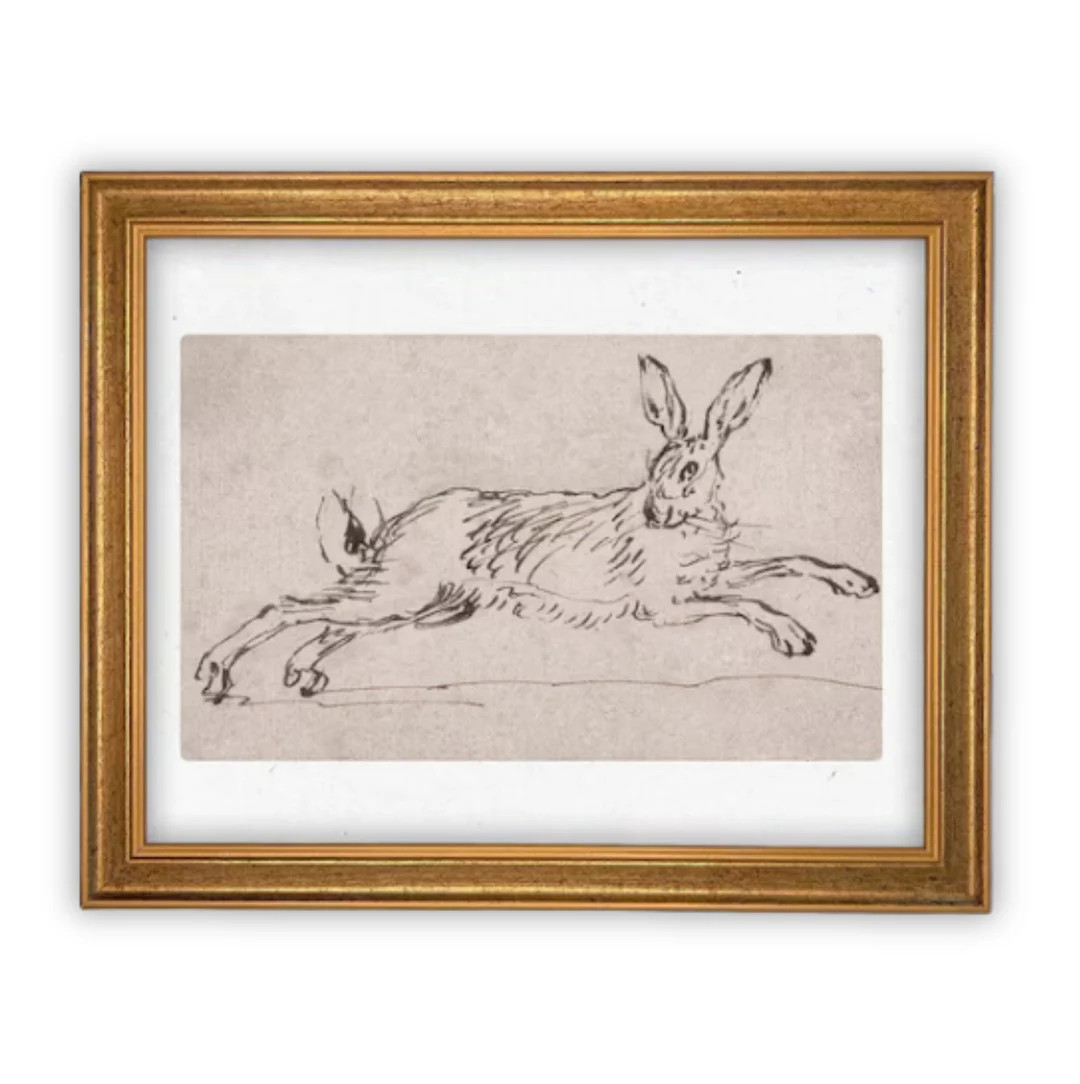 Vintage Framed Bunny Sketch Art: Easter Rabbit Canvas Print | Etsy (US)