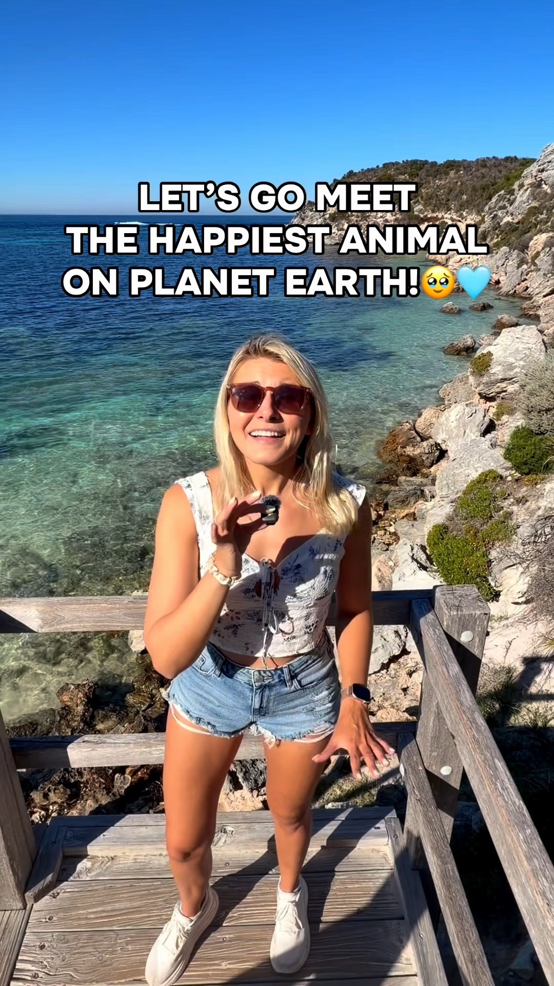 It is illegal to touch or feed them, but they are SO curious and will come right up to you!!🥹🫶🩵

Absolutely loved our time at Rottnest Island! We took @RFF⛴️ to get there!🩵

#quokkas #animals #wildlife #perth #australia

#LTKTravel #LTKActive