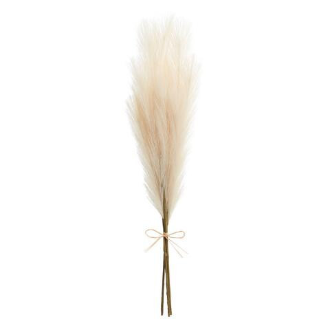 Natural Faux Pampas Grass Bunch | World Market