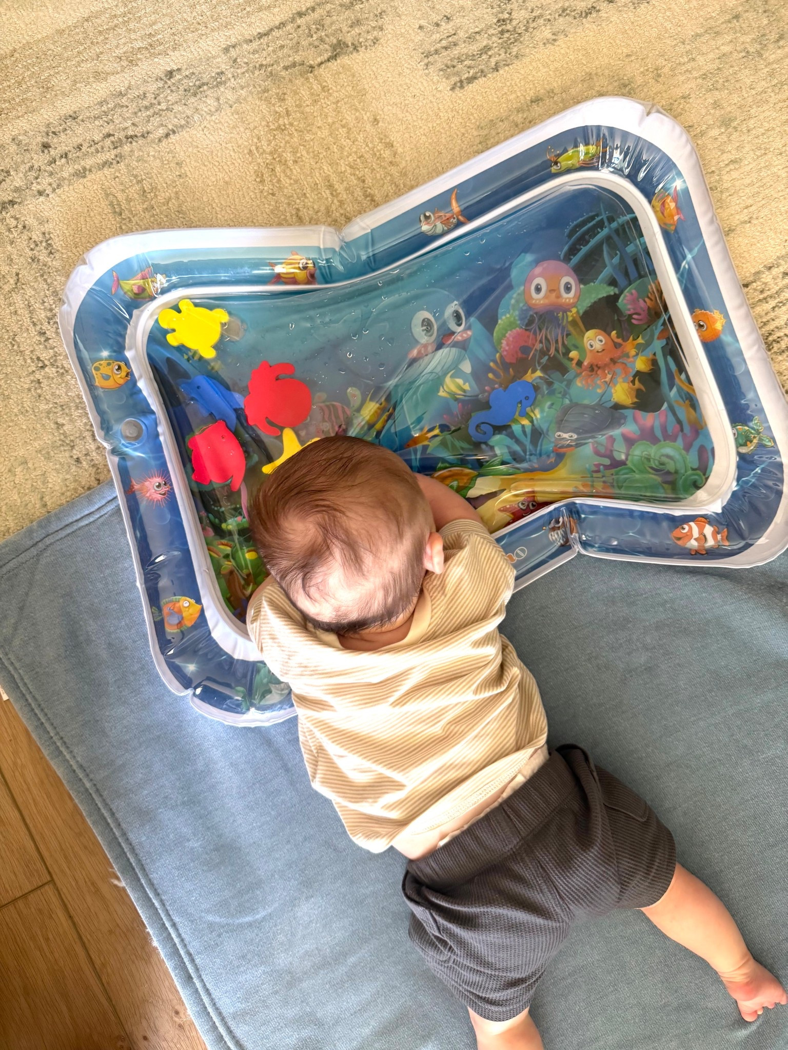 This fish tummy time mat has been a recent hit in our house. Ollie can get frustrated with tummy time pretty quickly, and this has helped hold his attention a little longer and make it more enjoyable for him. Definitely one of those simple baby items that’s been worth having in our rotation lately.

tummy time mat, baby tummy time, tummy time essentials, baby play mat, infant play mat, sensory play baby, baby development toys, tummy time toy, 3 month old baby, baby favorites, new mom finds, baby finds, baby gear, infant essentials, baby registry finds, baby playtime, fish tummy time mat, sensory mat for baby, baby must haves, Amazon baby finds, motherhood finds, postpartum baby finds, baby products, baby activity mat, tummy time help

#LTKmomlife #LTKBaby