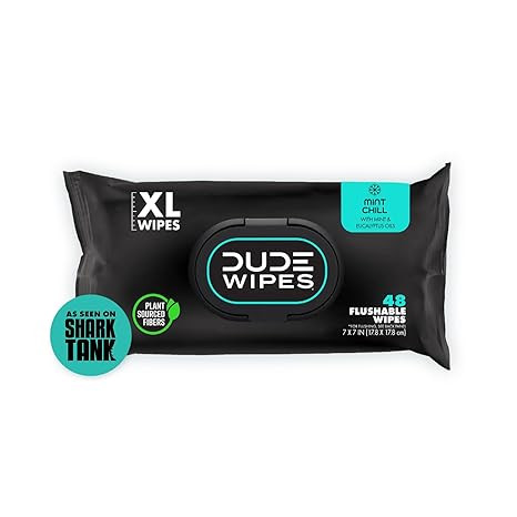 DUDE Wipes - Flushable Wipes - 1 Pack, 48 Count - Mint Chill - Vitamin-E, Aloe, Eucalyptus & Tea ... | Amazon (US)