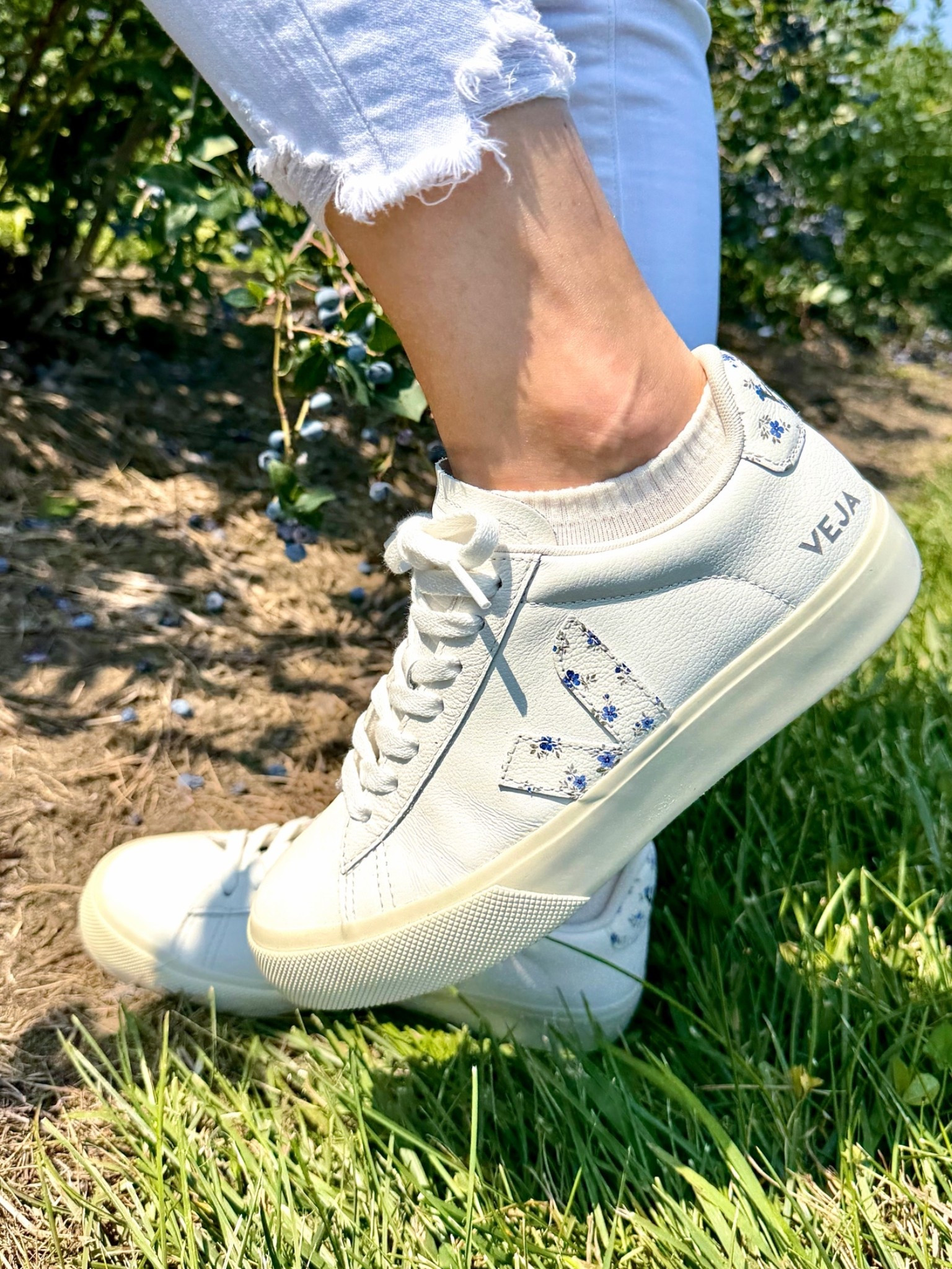 One of my favorite Nsale purchases!!

Veja campo sneaker, white sneakers, Nsale finds, Nordstrom anniversary sale, travel shoes, floral sneakers

#LTKootd #LTKSaleAlert #LTKTravel