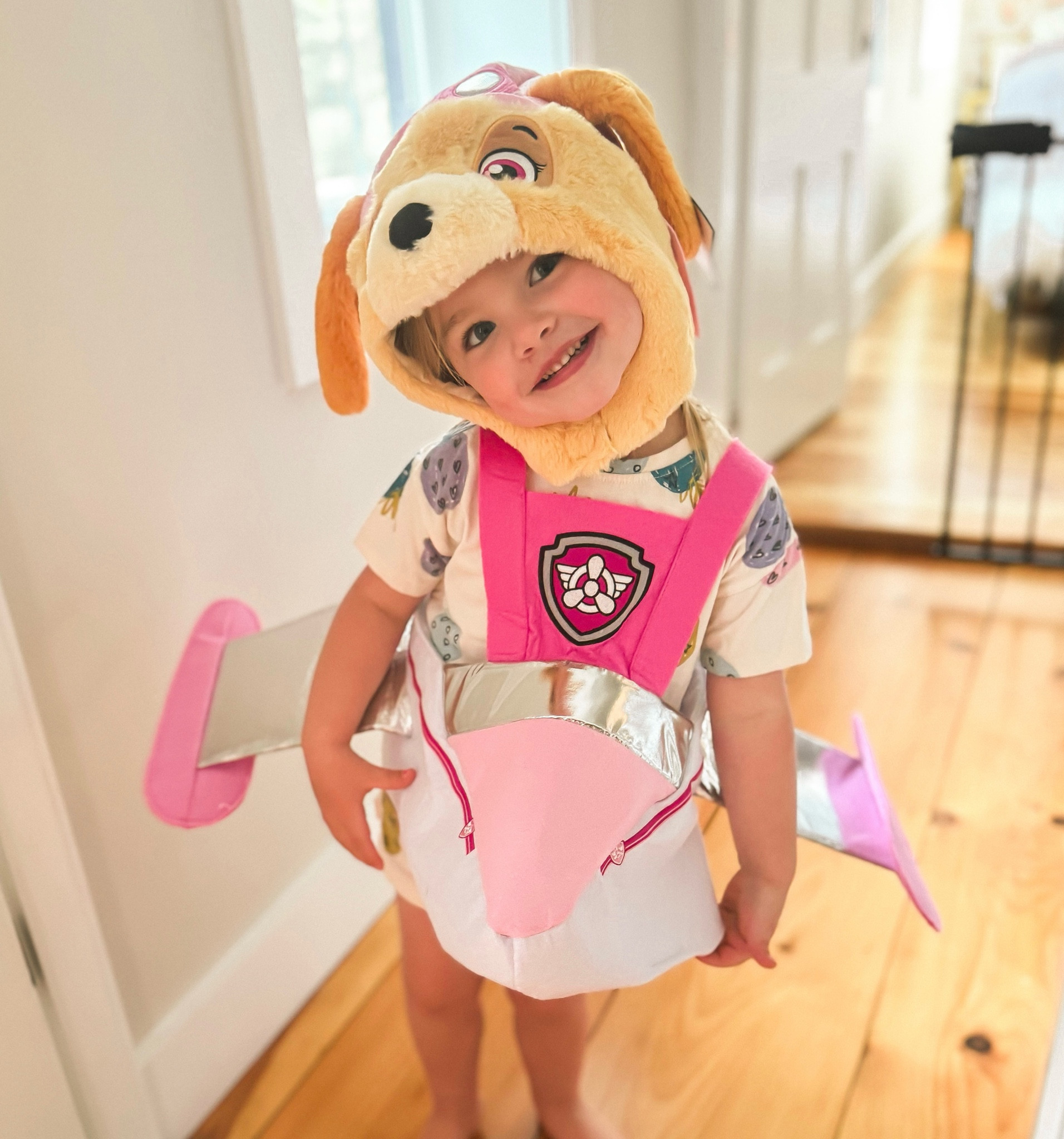 Pottery barn paw patrol Halloween costumes 💕🫠

#LTKfamily #LTKfindsunder100 #LTKkids