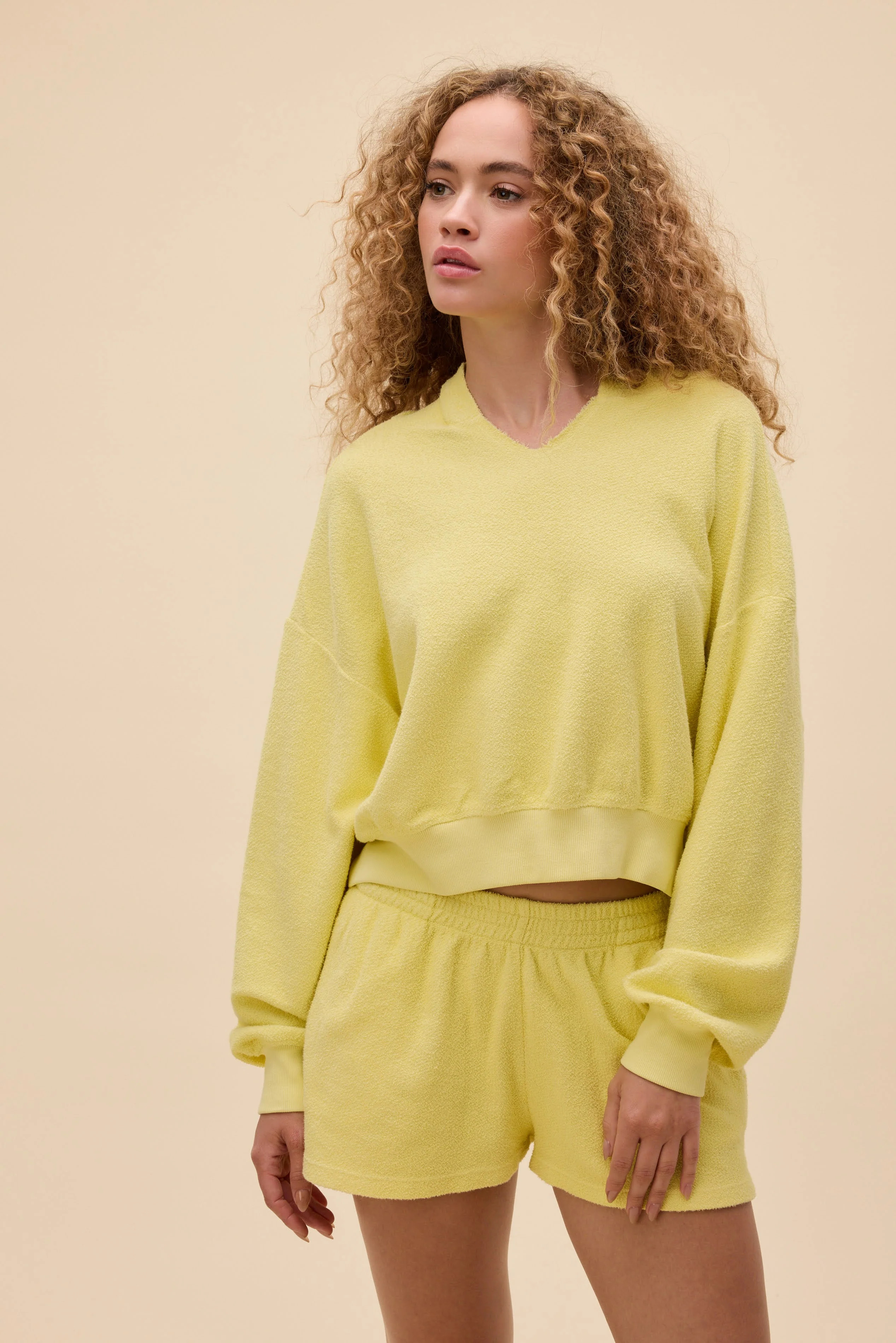 Solid Towel-Like Terry Meet & Greet Hoodie in Yellow | 100% Cotton Long Sleeve in Lemon | Daydreamer