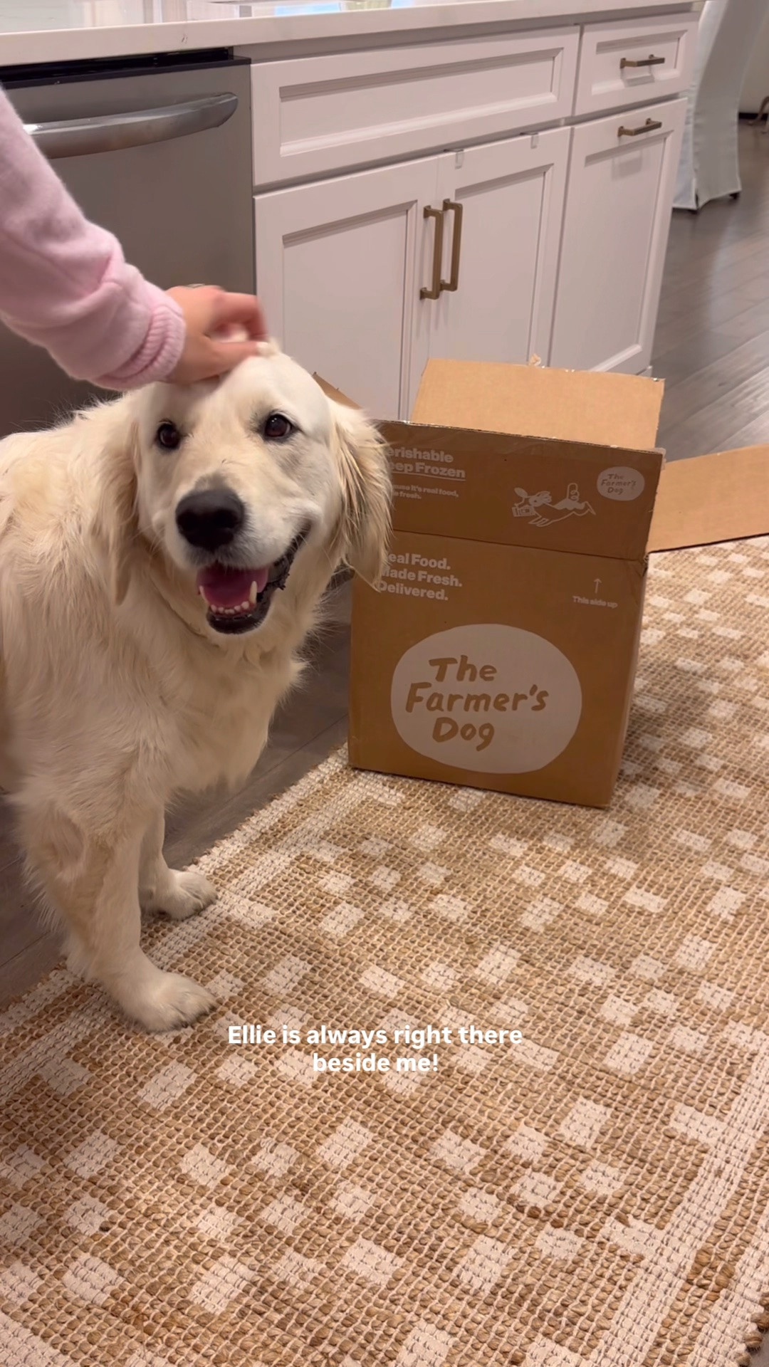 #ad Doing life with Ellie is my favorite 🤍🐶 From our daily routines at home to afternoons with new friends, she’s always right by my side! We have been loving @thefarmersdog as part of our routine lately 🫶🏼 Get 60% off your first box by clicking below! #TFDPartner #thefarmersdog 
@shop.LTK #liketkit https://on.ltk.com/+XV-gz6mSv6l6rTkS8PItCw

#LTKvlog