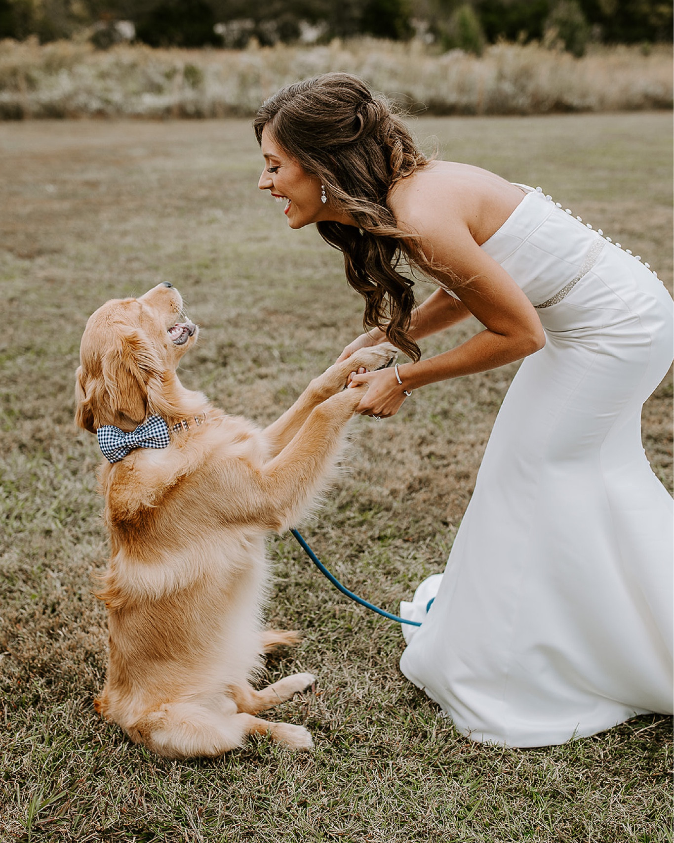 Our sweet Finn had to match the groomsmen with his navy plaid bow tie collar and navy leash! Both are great quality.  He is wearing a size large collar.🐾🖤 #LTKdog #LTKpuppy