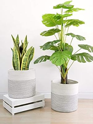 Goodpick 2Pcs Rope Plant Basket 12 inches Woven Basket for Plants Natural Plant Basket Indoor Flo... | Amazon (US)