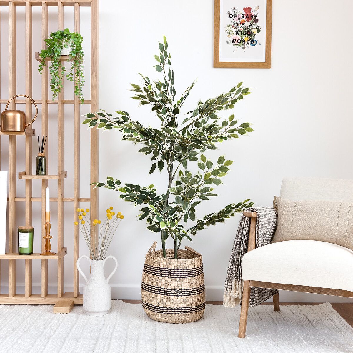 145cm Artificial Variegated Ficus Tree in White Pot | La Redoute (UK)
