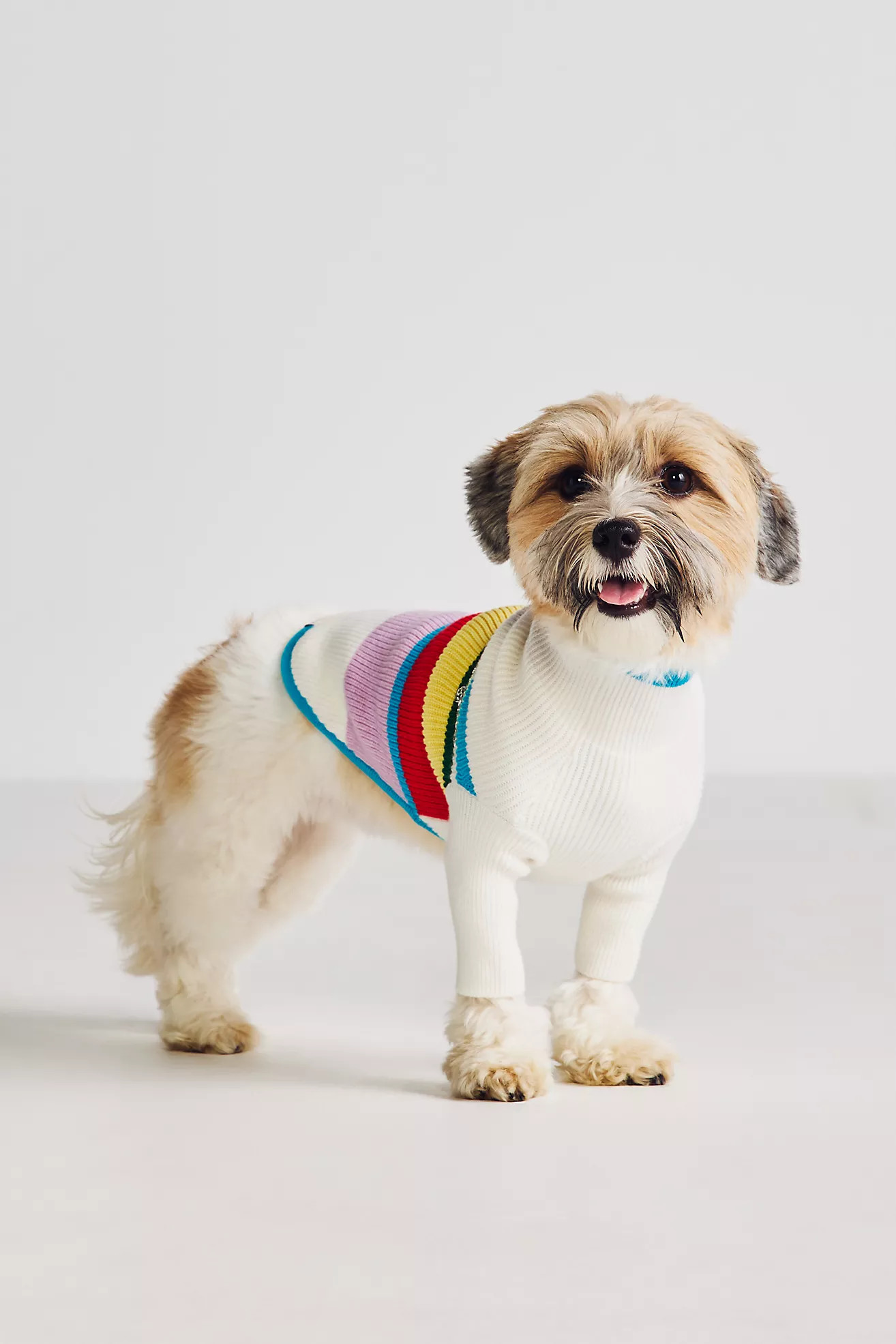 Maxbone x Anthropologie Après Pet Sweater | Anthropologie (US)