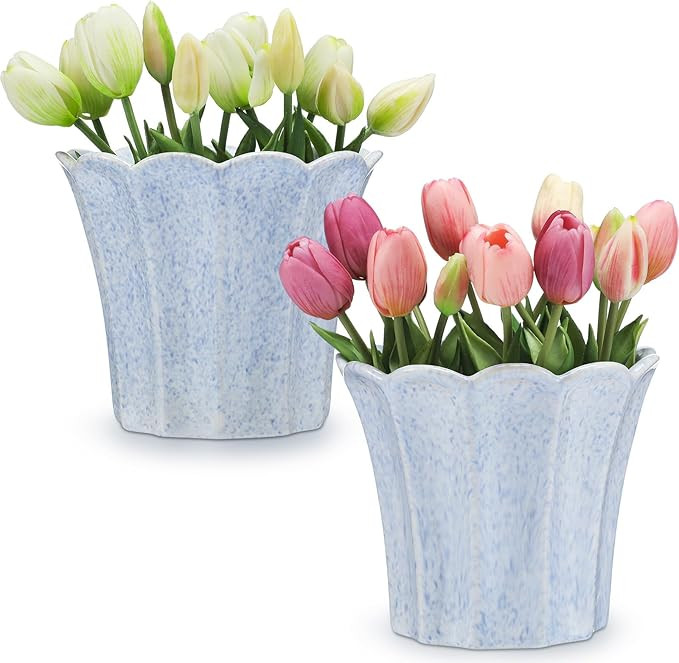 Honeydak 2 Pcs Fluted Ceramic Pots for Plants Indoor 7.5 x 6.5 Inches Spring Easter Scalloped Sty... | Amazon (US)