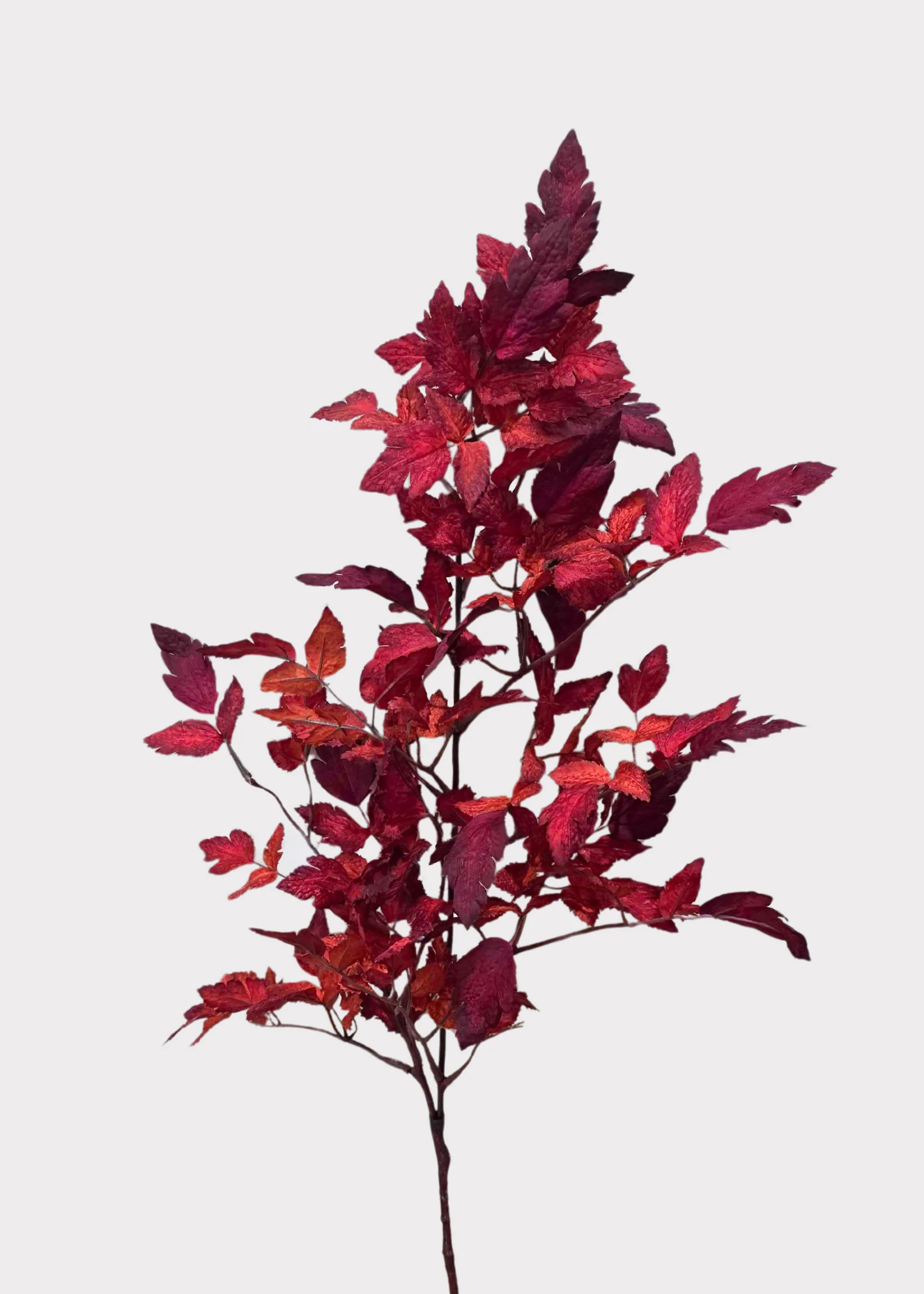 Afloral™ Artificial Cimicifuga Ramosa Leaves in Red - 30" | Afloral