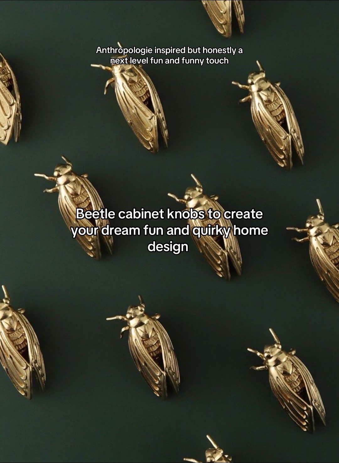 cabinet knobs
fun cabinet knobs
cabinet pulls
drawer knobs
brass decor 

 #LTKHome #LTKFindsUnder50
