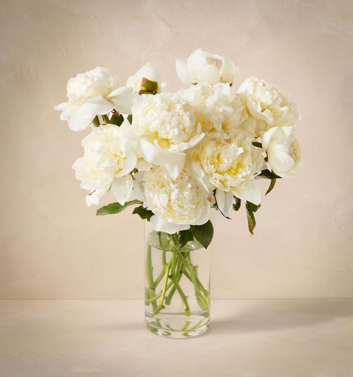 The Pearl | UrbanStems