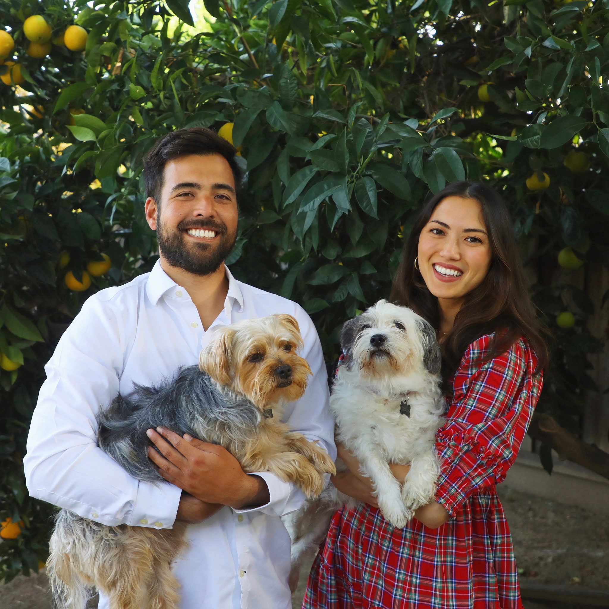 Merry Christmas 🎄 Kat in a Hill House Home tartan dress, Honest makeup, & Charlotte Tilbury lipsticks, and Alec in Brooks Brothers and Vuori.

#LTKfamily #LTKSeasonal #LTKHoliday