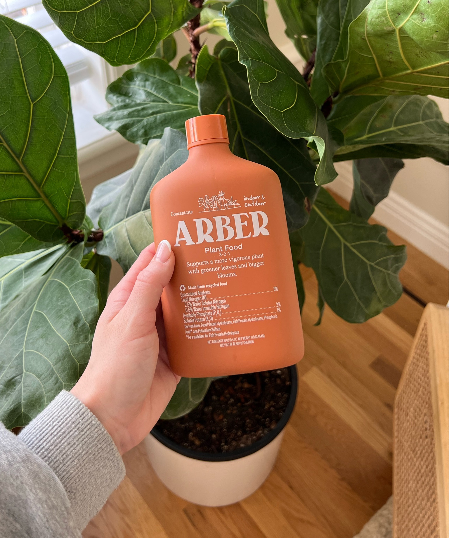 Plant mom must-haves 🌿