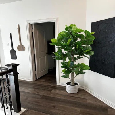 Aveyas 6Ft Artificial Fiddle Leaf Fig Tree For Home Decor, 6 Feet Large Faux Plant Fake Ficus Lyrata Silk Trees With Pot For Indoor Outdoor House Livi | Wayfair North America