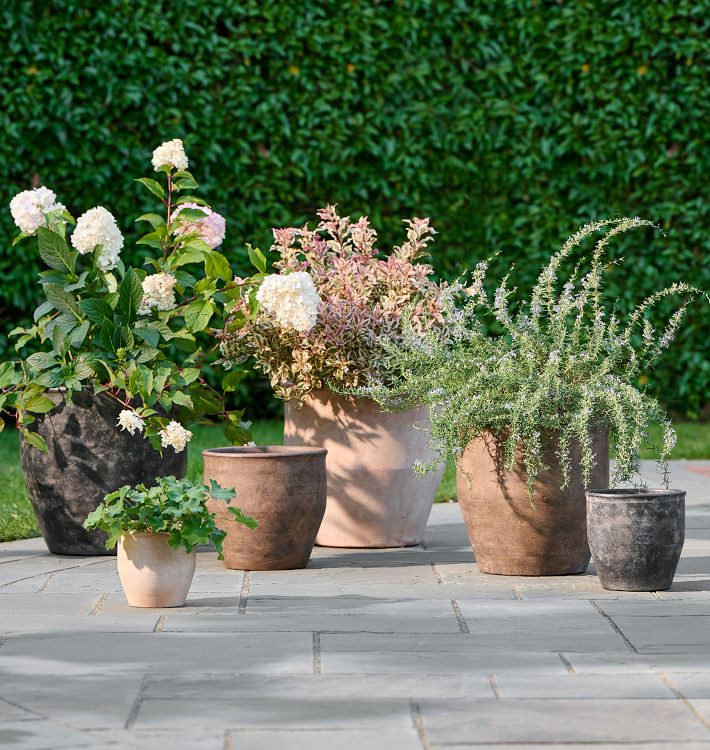 Antique Terracotta Planters | Rejuvenation