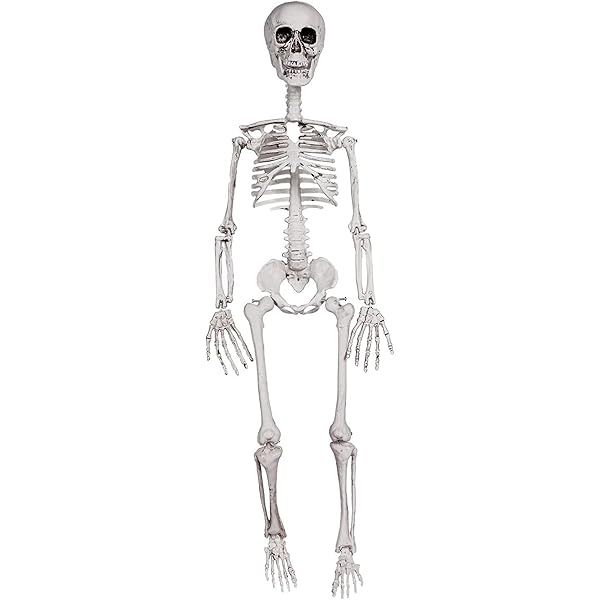 Prextex 30” Halloween Skeleton- Full Body Halloween Skeleton with Movable Joints for Best Halloween  | Amazon (US)