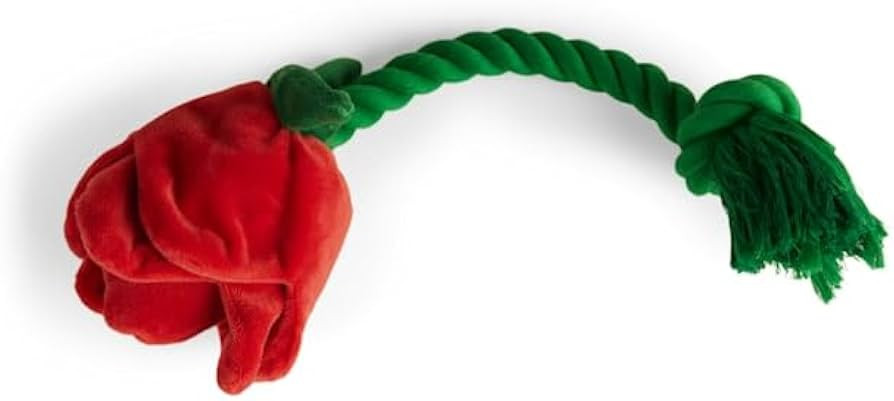 Youly Valentine's Day Rose Rope Dog Toy, Large | Amazon (US)