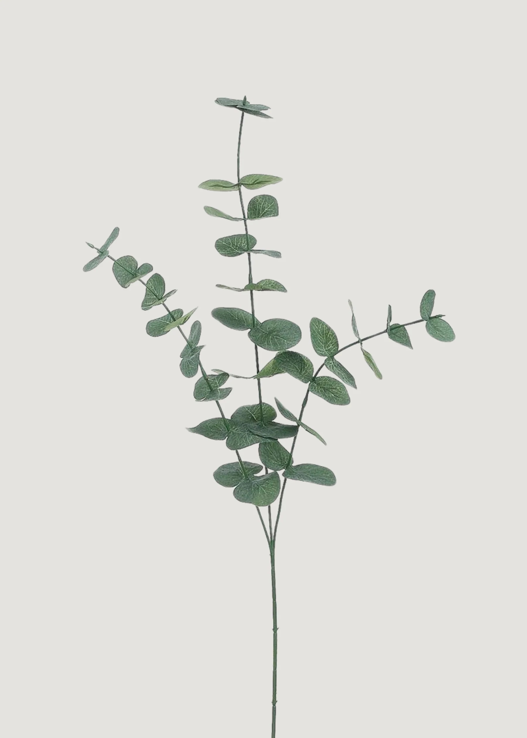 Fake Spiral Eucalyptus Branch | Artificial Greenery Stems | Afloral | Afloral