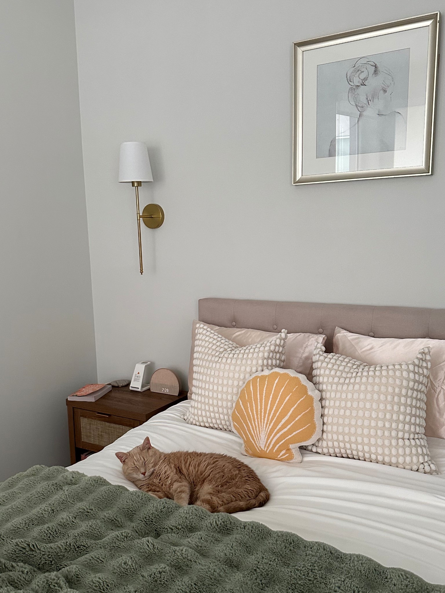 Pumpkin loves my bedding just as much as I do 🤍

#LTKStyleTip #LTKHome #LTKPets