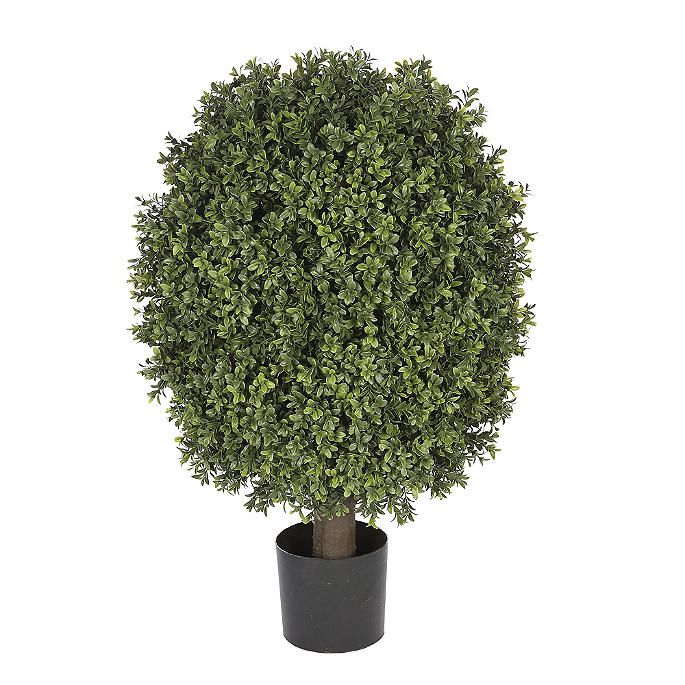 Single Ball Outdoor Boxwood Topiary | Frontgate | Frontgate