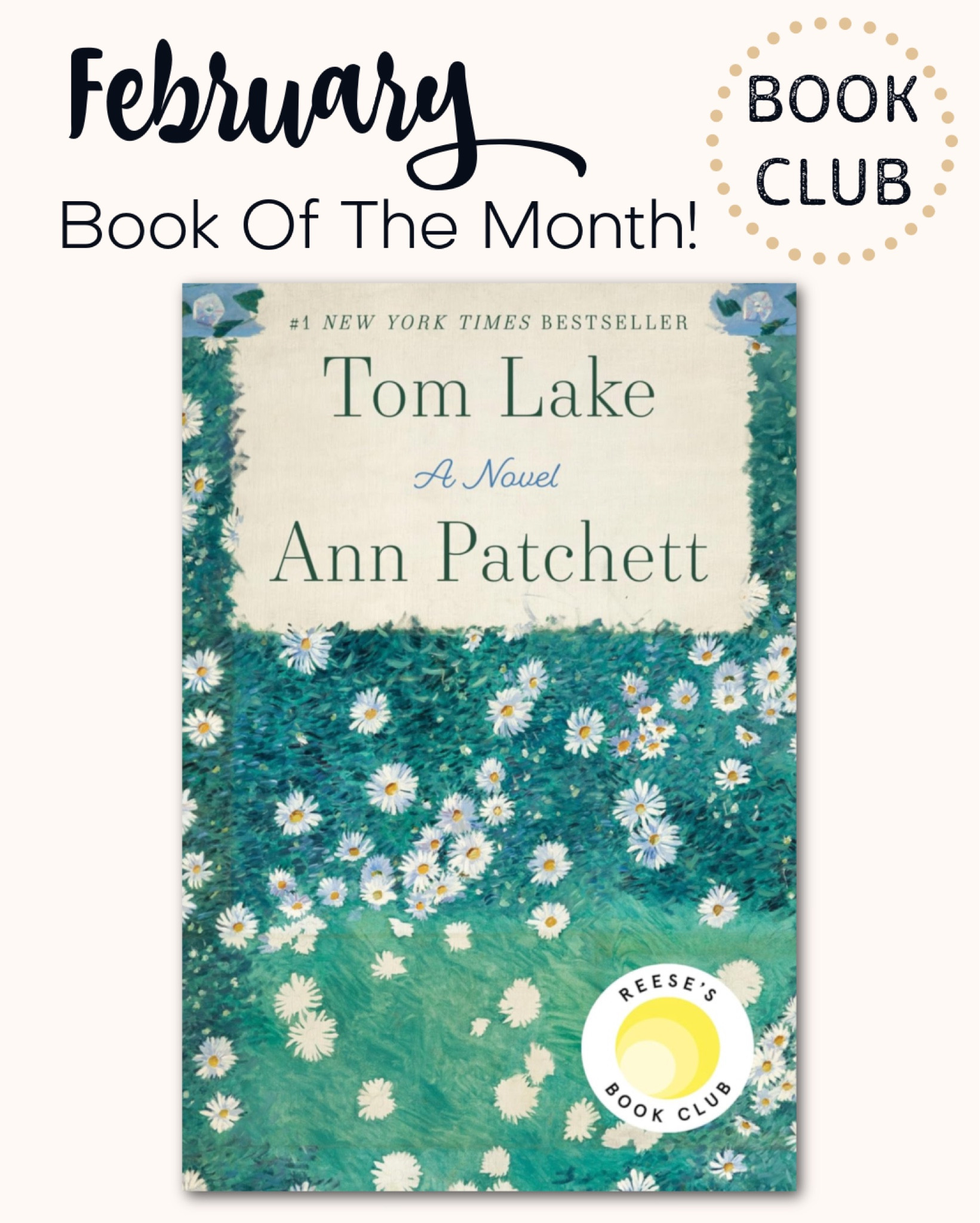February Book Club. ‘Tom Lake’ by Ann Patchett. Target currently has BOGO 50% off on books, movies, games & activities!!

#LTKGiftGuide #LTKhome #LTKSeasonal