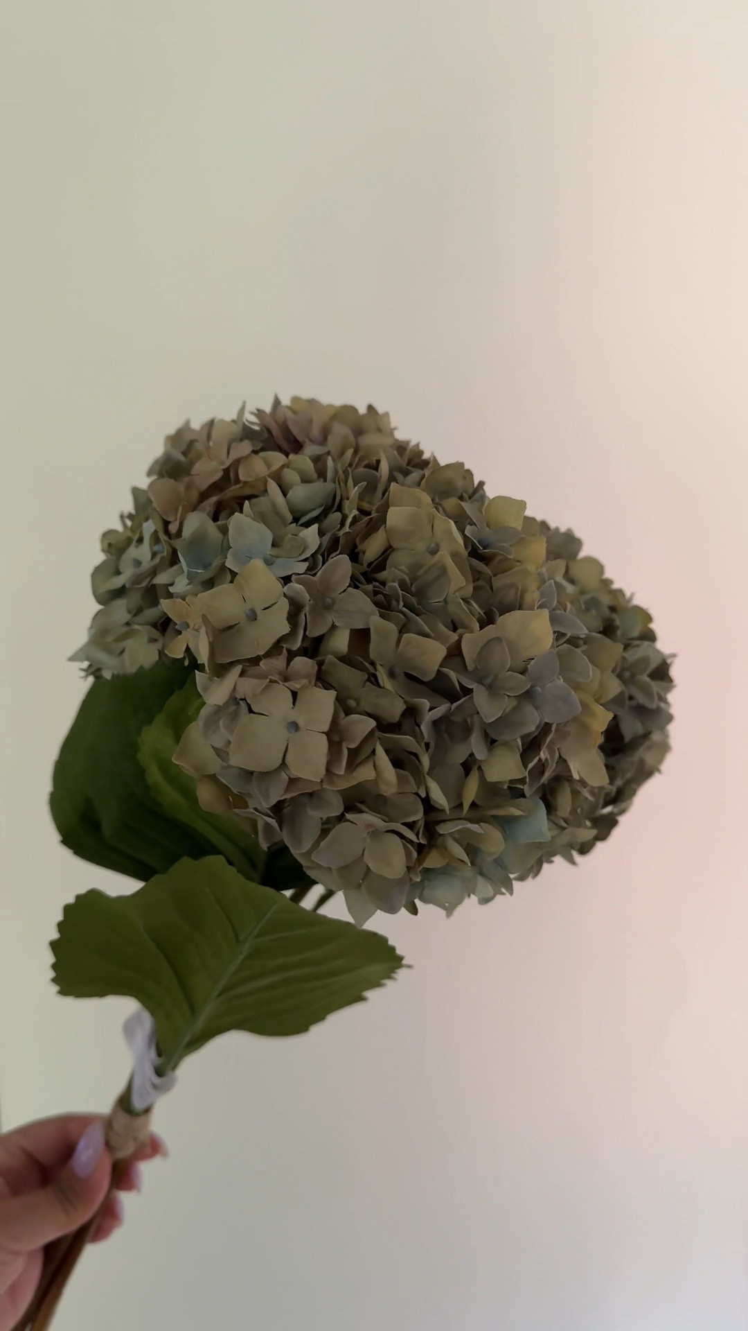 Faux hydrangeas, faux florals, florals, faux stems, flowers, spring stems, spring home decor, spring florals, wedding hydrangeas, home decor, home finds, neutral home decor, neutral home finds, spring home finds

#LTKFindsUnder100 #LTKHome #LTKSeasonal