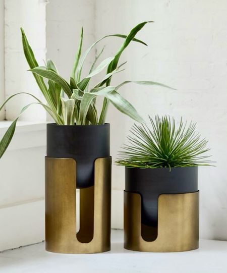 Beautiful Planter
New Home Finds
Patio Furniture
Home Decor

#LTKHome #LTKFamily #LTKStyleTip