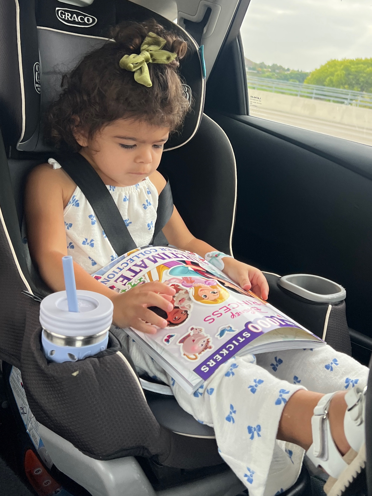 Princess toddler sticker book