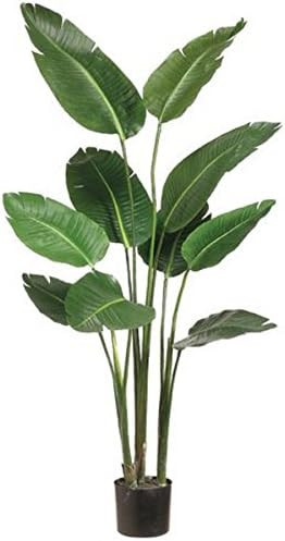 Amazon.com: One 5 foot Artificial Silk Bird of Paradise Palm Tree Potted Plant : Home & Kitchen | Amazon (US)