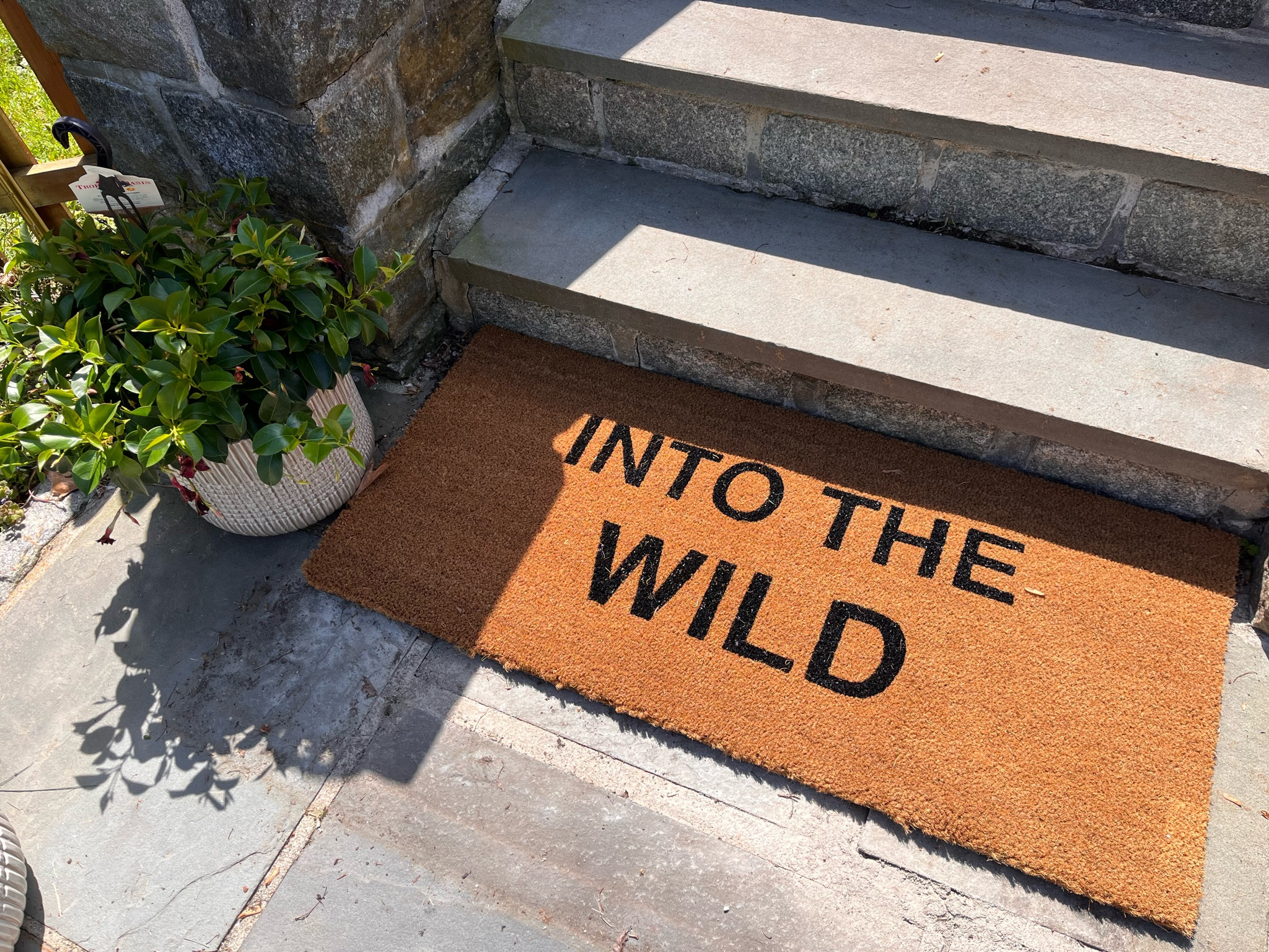 Perfect doormat for my family… walk up those stairs and you’re walking into the wild! 

#LTKHome #LTKSaleAlert #LTKSeasonal