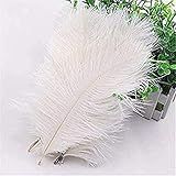Ostrich Feather Garland Centerpiece - 24" - 26" | White | Pack of 12 | Amazon (US)