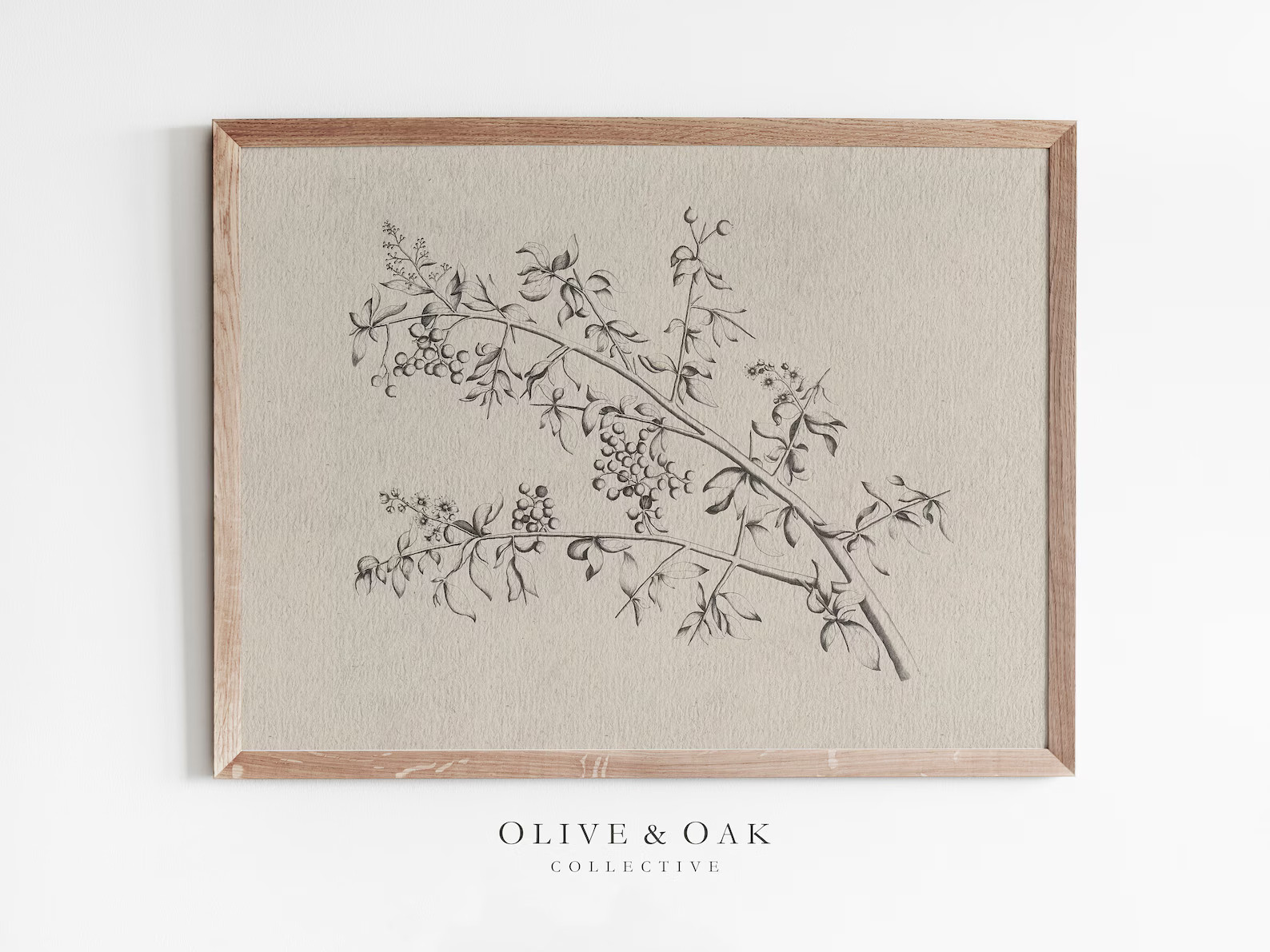 Neutral Branch Sketch / Vintage Botanical Print / Horizontal Branch Drawing / Simple Wall Art / #... | Etsy (US)