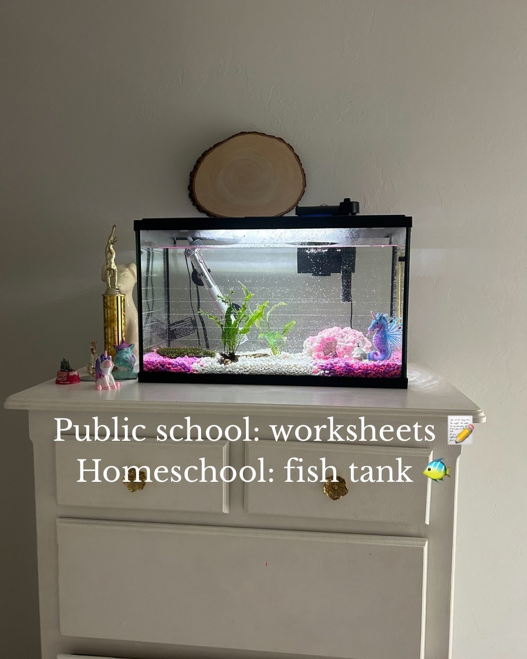 I never thought we’d have a fish tank… but wow, it’s full of learning opportunities! 🐟💡

From observing life cycles to practicing responsibility, patience, and even a little science, our homeschool days are anything but boring.

Homeschool doesn’t have to mean recreating school at home - real life is the best classroom!


#homeschoolmom #homeschoollife #homeschooling #homeschoolschedule #adhdhomeschool

#LTKKids #LTKdayinmylife #LTKvlog