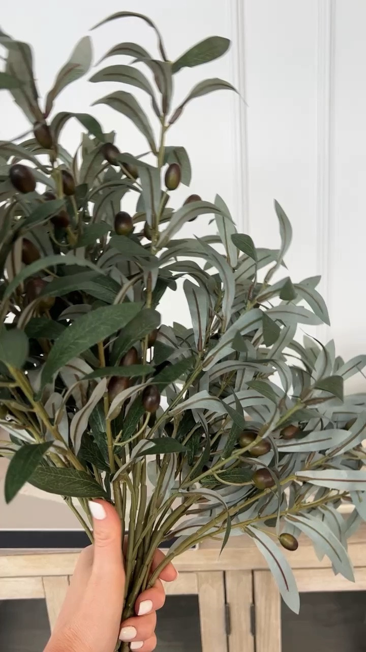 The best faux olive branches from Amazon! 

Lee Anne Benjamin 🤍

#LTKsalealert #LTKstyletip #LTKhome