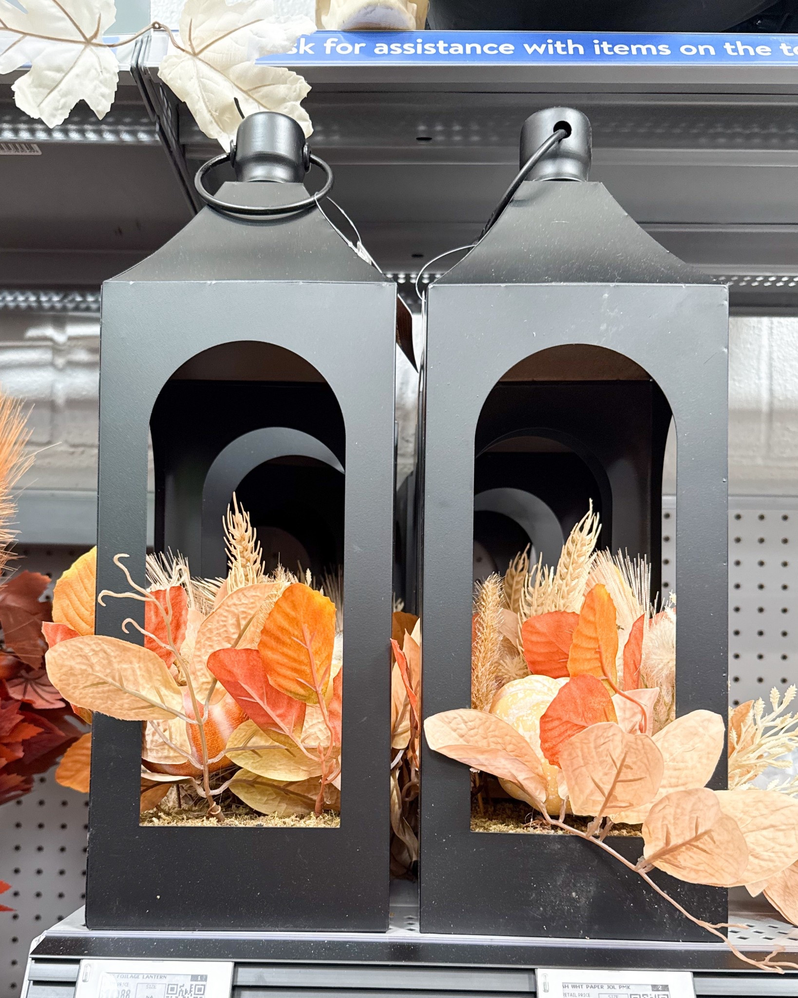 We have last year’s version of these fall lanterns on our front porch and they look so high end and festive for under $20!

Fall home decor
Walmart finds
Walmart home decorr

#LTKSeasonal #LTKFindsUnder50 #LTKHome